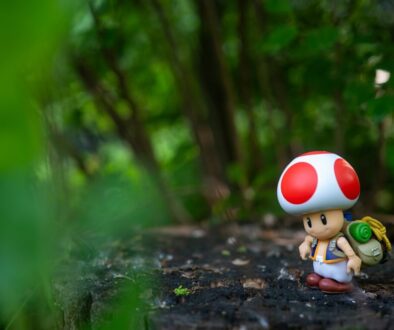 Co to jest kwercetyna i jakie ma działanie na organizm – właściwości i zastosowanie