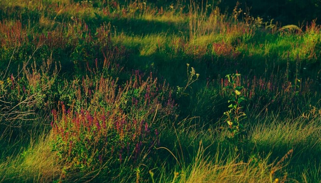 Probiotyki w ciąży – czy są bezpieczne, na co pomagają i jakie wybrać