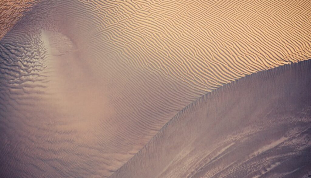 Dieta wegańska – poradnik dla początkujących i przykładowy jadłospis