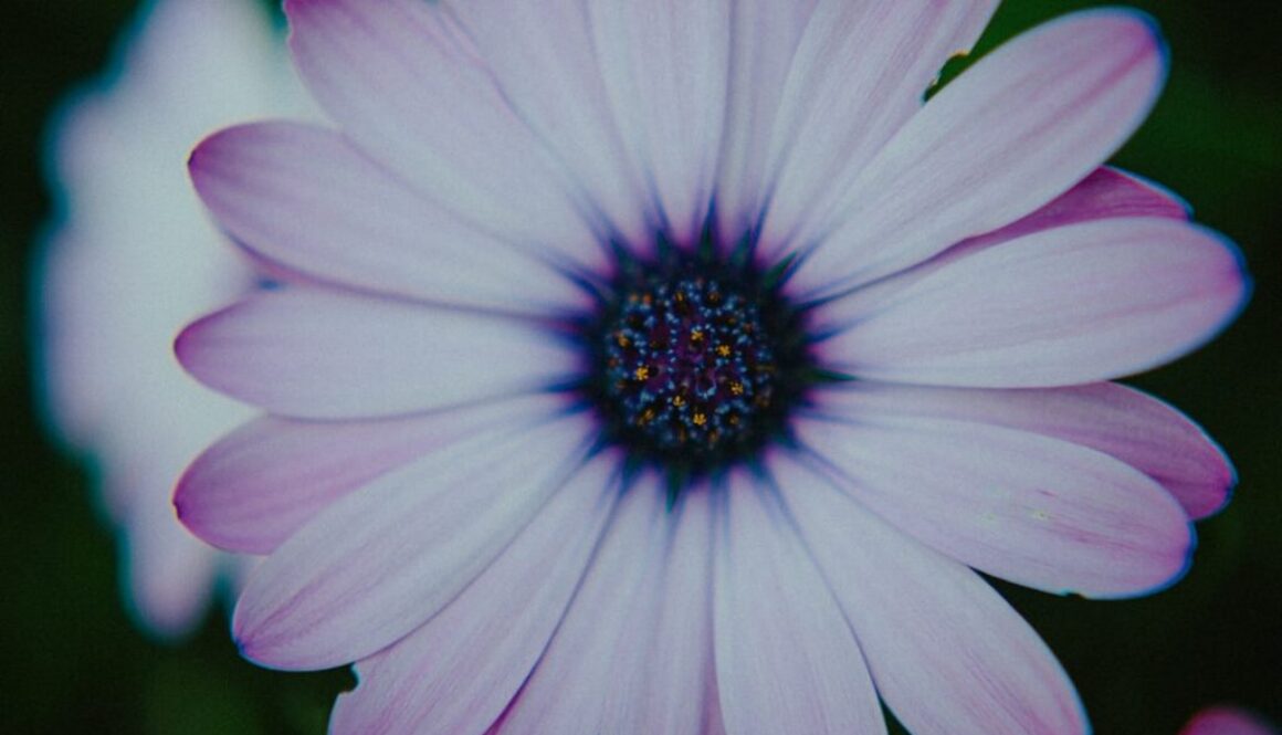 Dieta wątrobowa – menu tygodniowe i przykładowy jadłospis na 7 dni