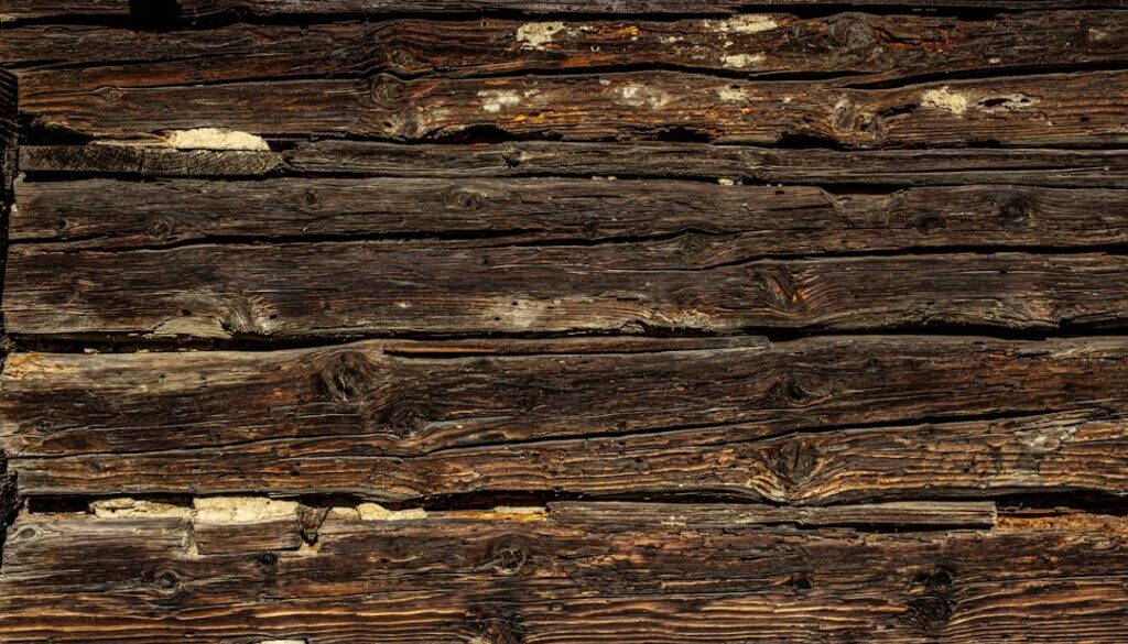 Jak wybrać probiotyki dla dzieci na zaparcia – dawkowanie i porady dla rodziców