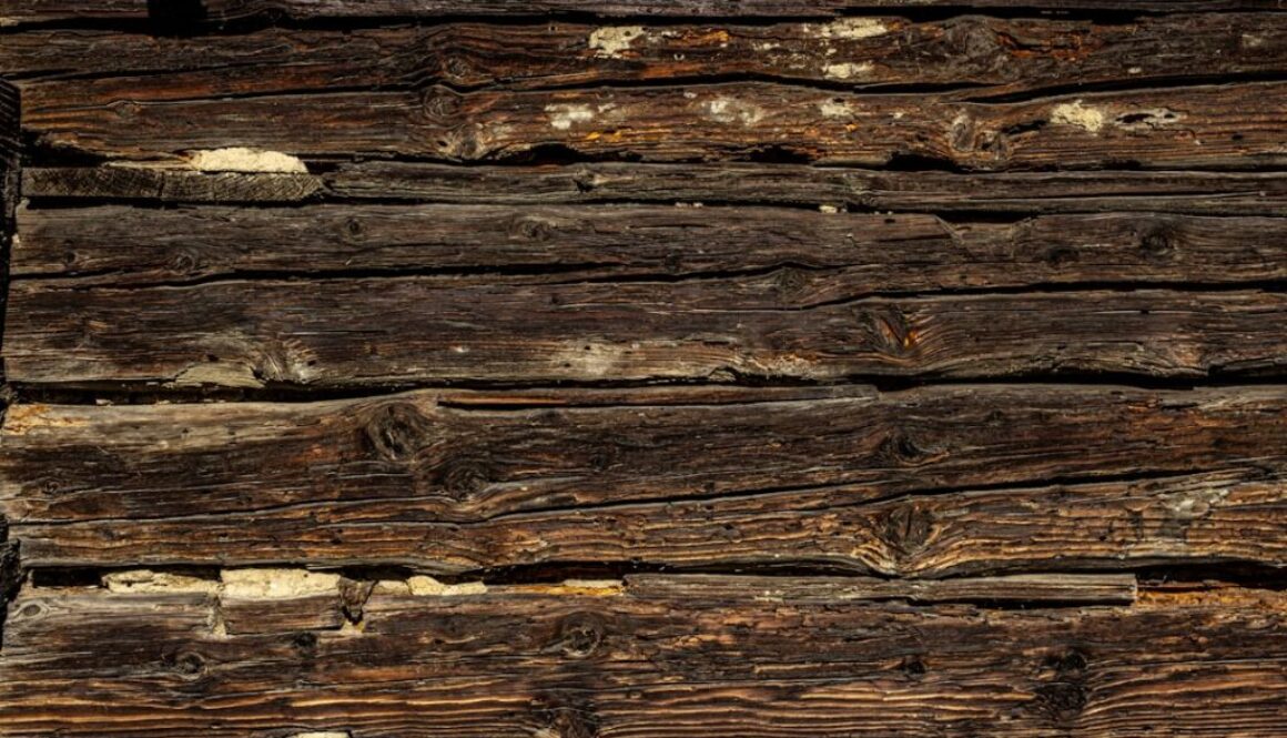 Jak wybrać probiotyki dla dzieci na zaparcia – dawkowanie i porady dla rodziców