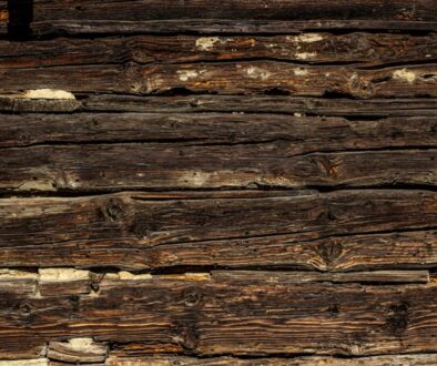 Jak wybrać probiotyki dla dzieci na zaparcia – dawkowanie i porady dla rodziców