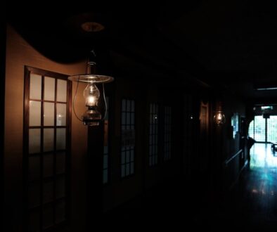 Jakie są właściwości oleju rzepakowego – rafinowany czy nierafinowany, co wybrać