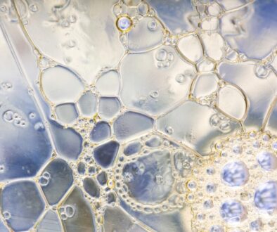 Olej ryżowy – właściwości, zastosowanie w kuchni i dlaczego warto go używać