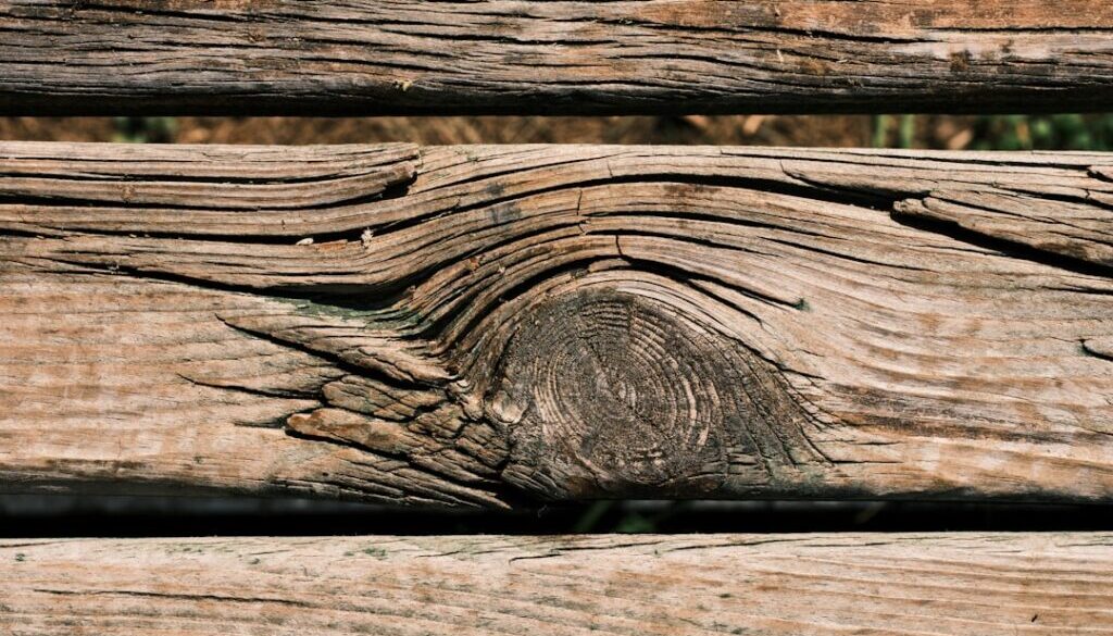 Jak pomóc dziecku przy zaparciach – probiotyki dla dzieci i dieta